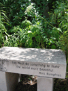 Bench 