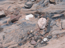 River Bed 