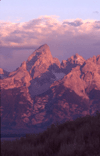 Tetons 